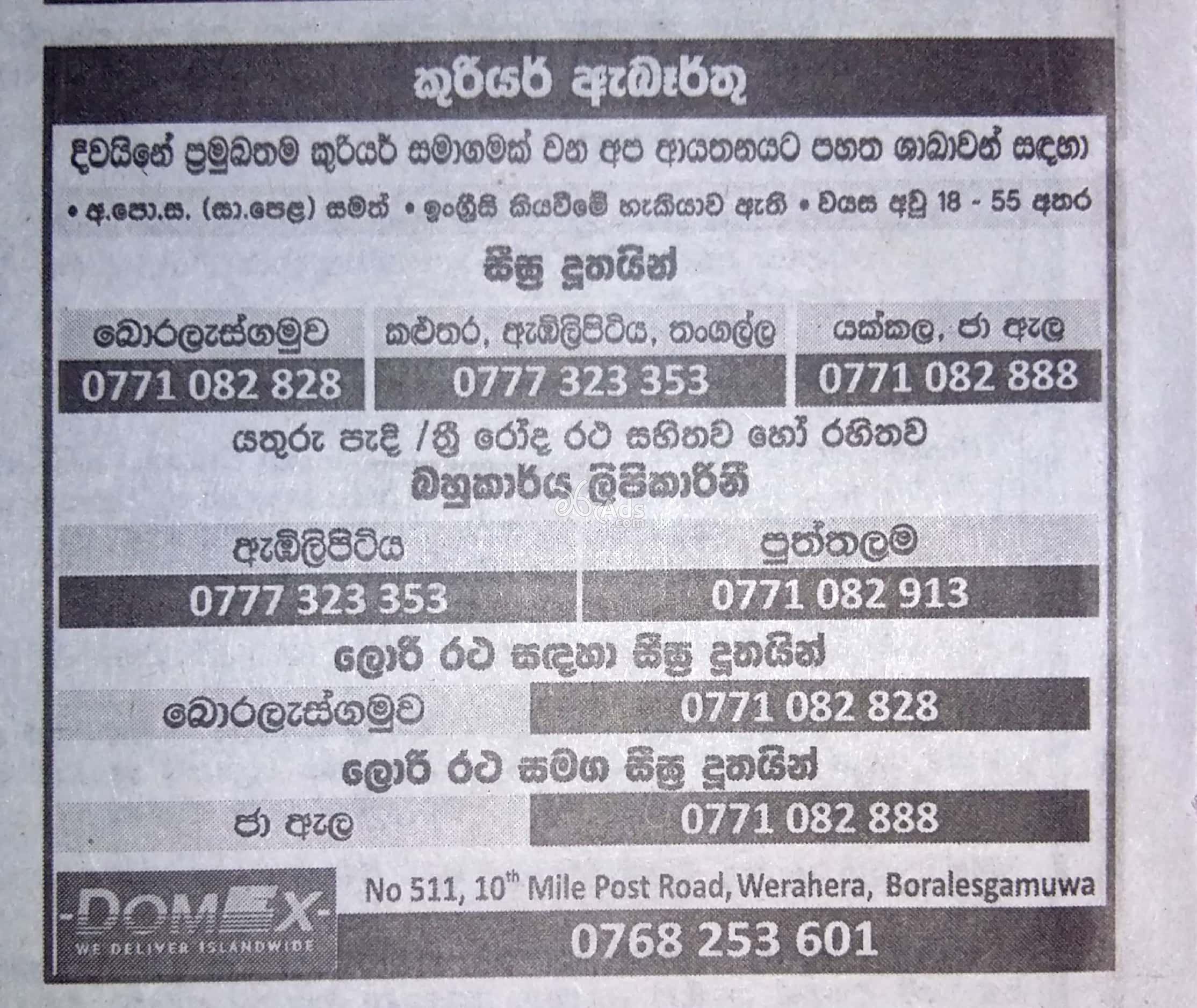 Courier, Clerk Vacancies at Domex