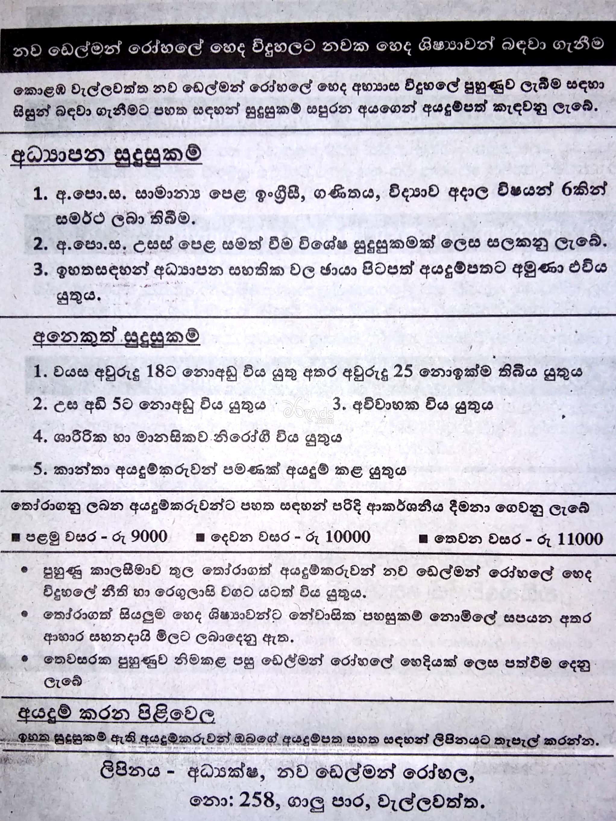 nurses Job Vacancies at New Delmon Hospital