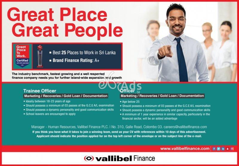 Trainee Officer/ Officer - Vallibel Finance PLC