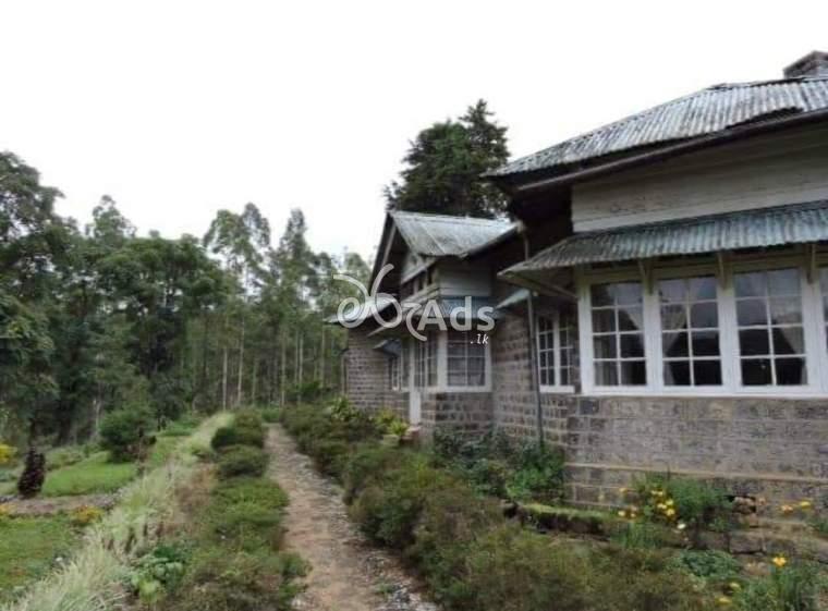 Bogawantalawa Tea Estate for Sale in NuwaraEliya Hatton
