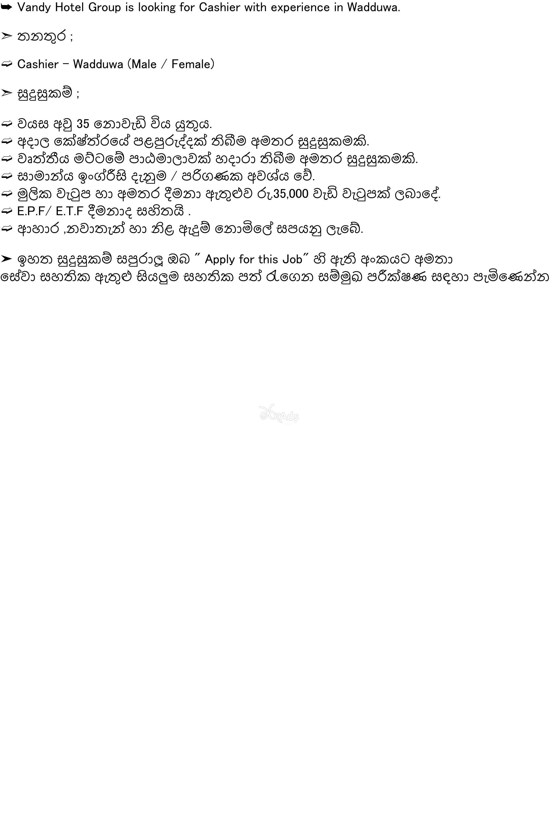 Vandy Hotel Group -Cashier