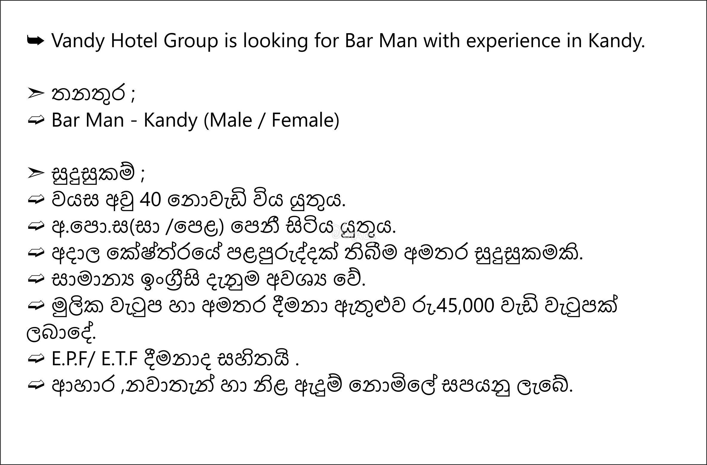 Bar Man, F&B Steward - Vandy Hotel Group