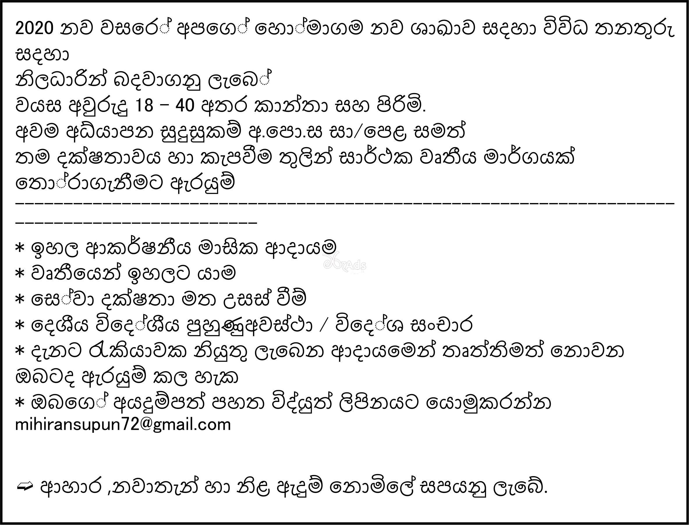 Marketing Executive - SL Company Limited