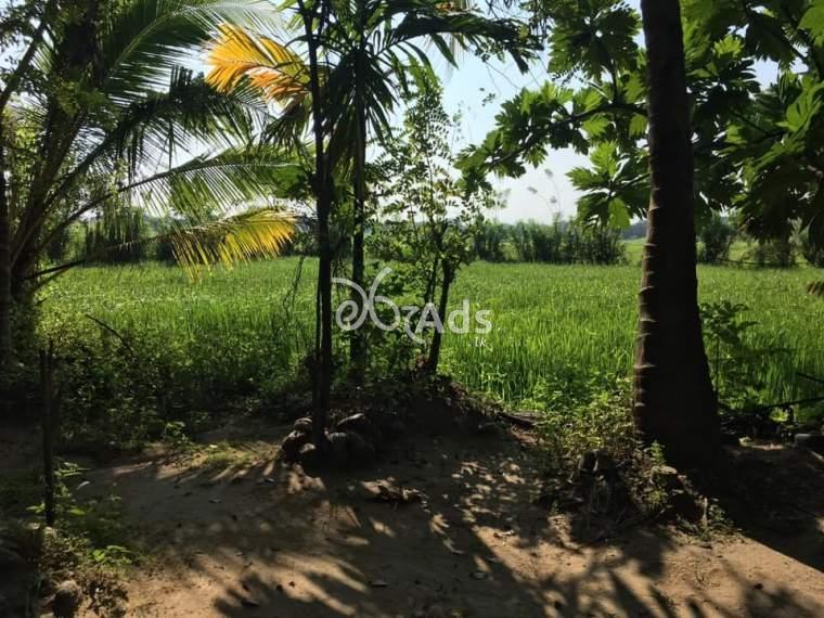 Land for sale with house in Polonnaruwa