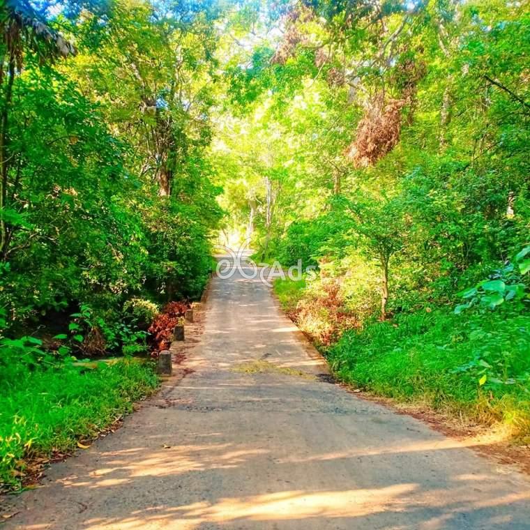 Land for Sale in Balangoda