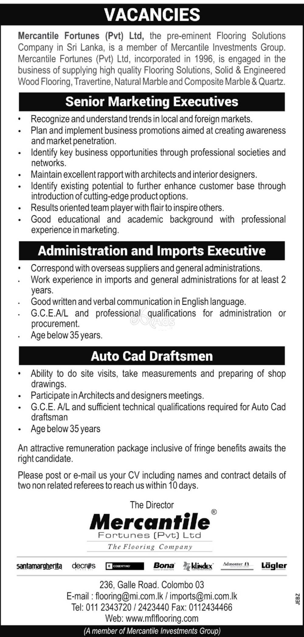 Senior Marketing Executive, Administration and Imports Executive, Auto