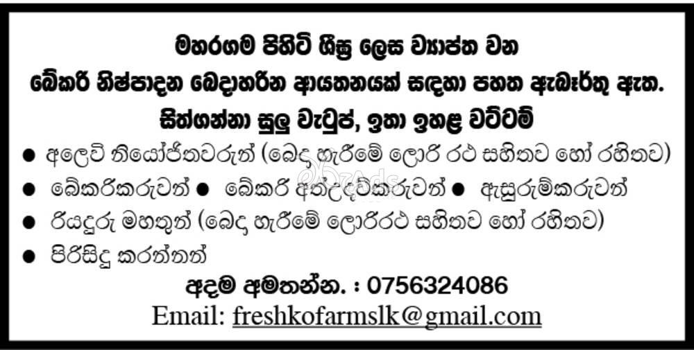 Sales Representative, Baker, Assistant Baker, Manufacture, Driver, Cleaner - Fresko Farms Private Limited