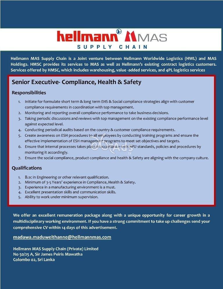 Senior Executive - Hellmann MAS Supply Chain Private Limited