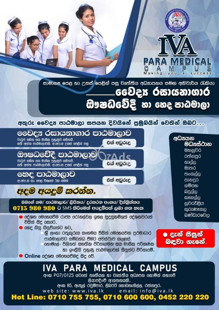 Nursing/Pharmacy/Medical Laboratory Technician Courses