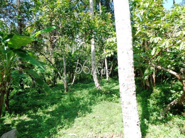 Land for sale in Yakkala (in Kirindiwela road) in Yakkala