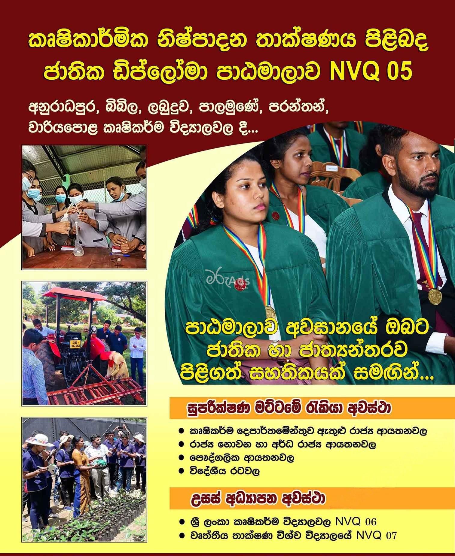 Admission for Schools of Agriculture – National Diploma in Agricultural Production Technology (NVQ 5) 2025