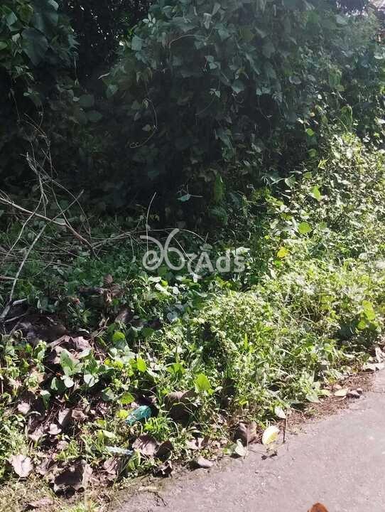Land for Sale - Baddegama