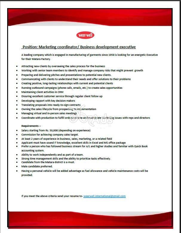 Marketing Coordinator, Business Development Executive - Wear well