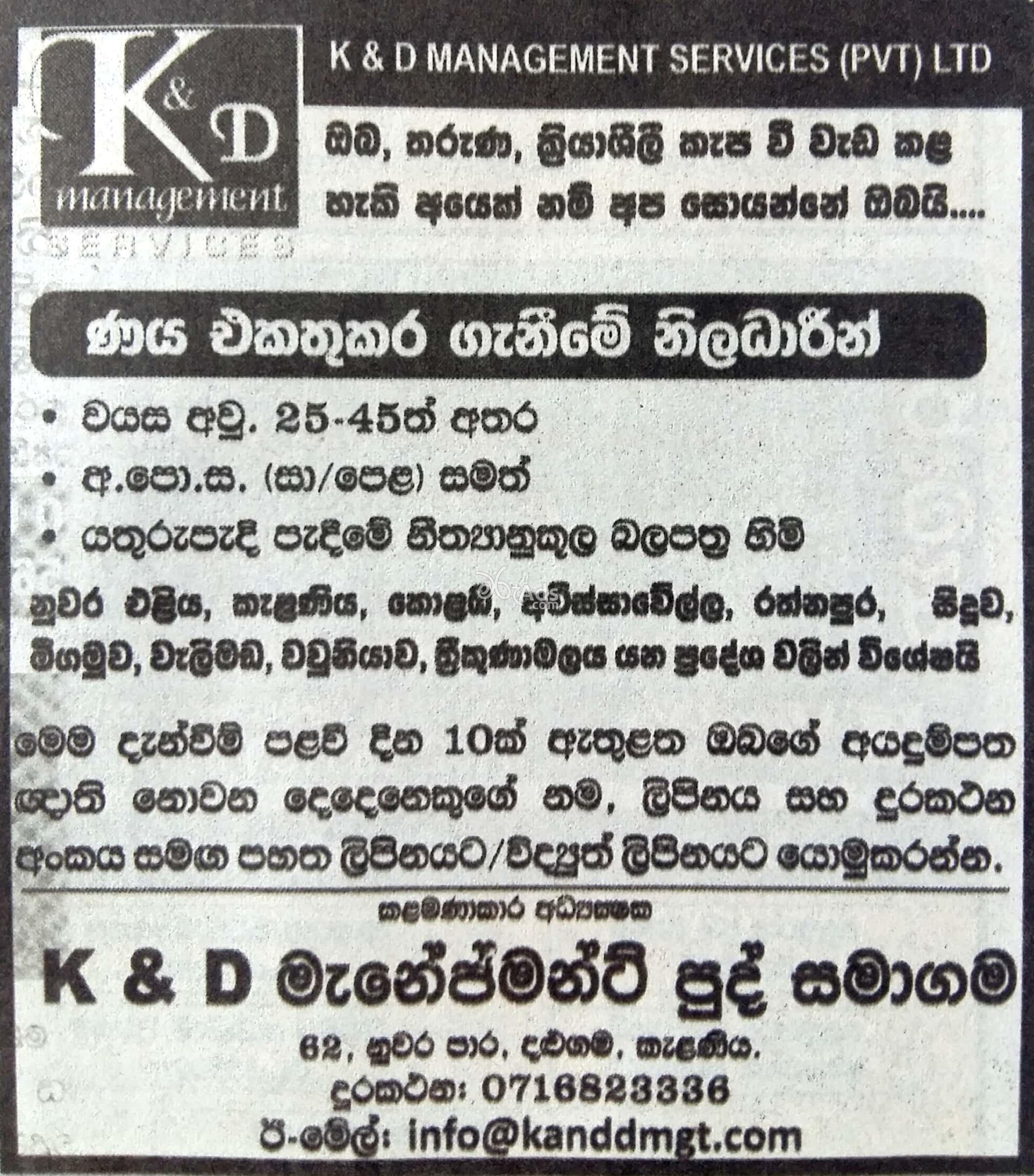 Recovery Officer Vacancy at K & D Management Services Kelaniya