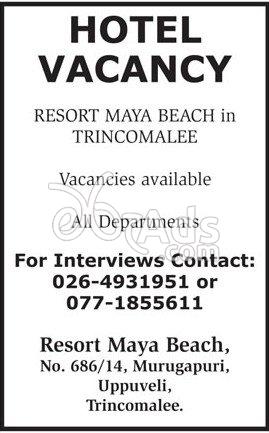 Hotel Vacancies for Resort Maya Beach