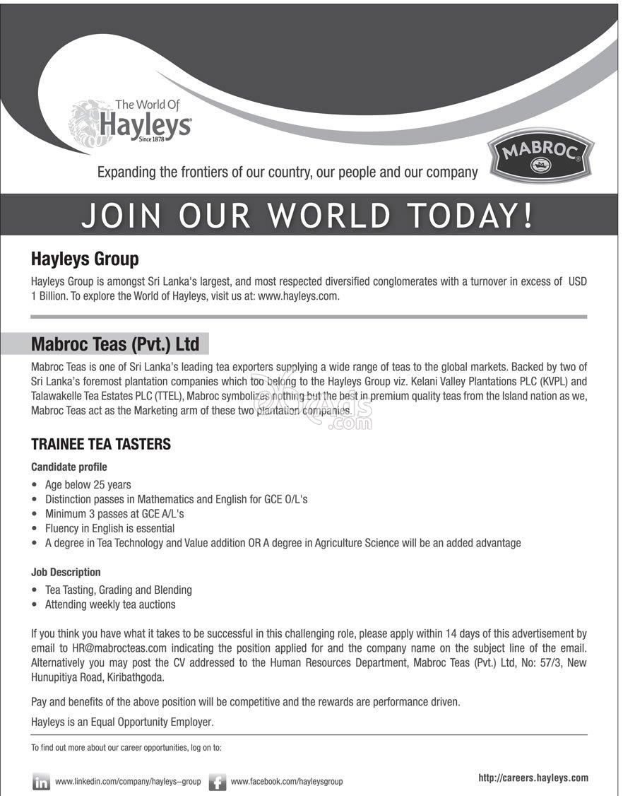 Trainee Tea Tasters Job Vacancies at Hayleys Group Kiribathgoda