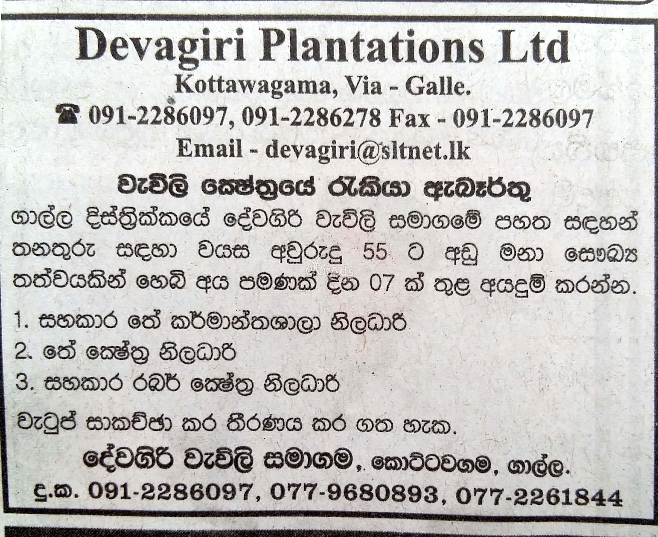 Assistant Tea Factory Officer, Tea Field Officer, Assistant Rubber