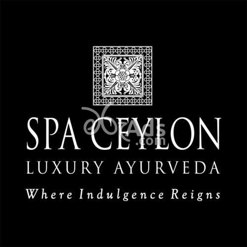 Ayurveda Doctor Vacancy at Spa Ceylon Colombo