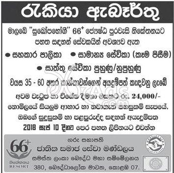 Assistant Attendant, General Worker, Metron Vacancies at 66+ Resort