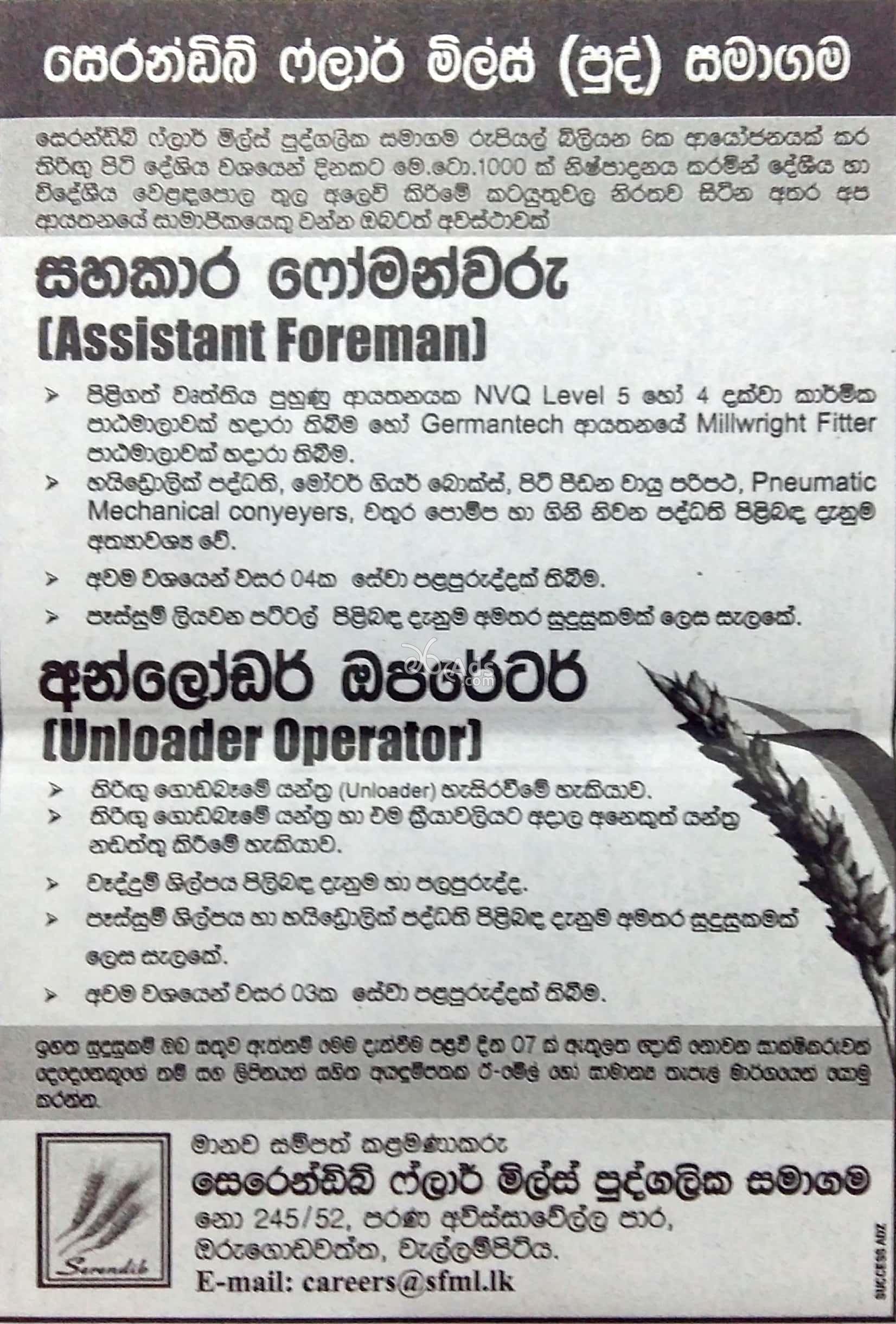 Assistant Foreman, Unlode Operator Vacancies at Serendib Flour Mills (Pvt) Ltd