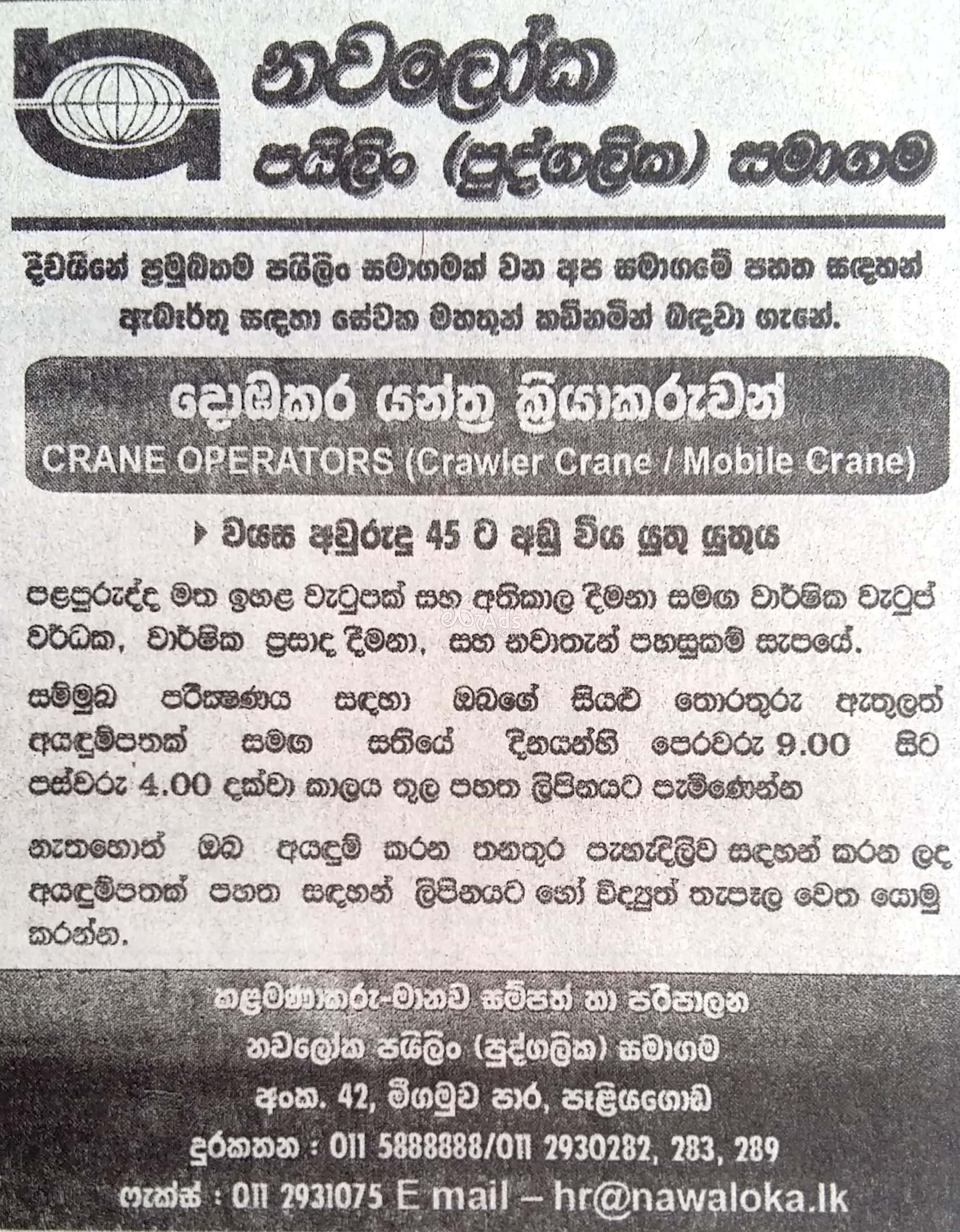 Crane Operator Vacancy at Nawaloka Piling (pvt) Ltd