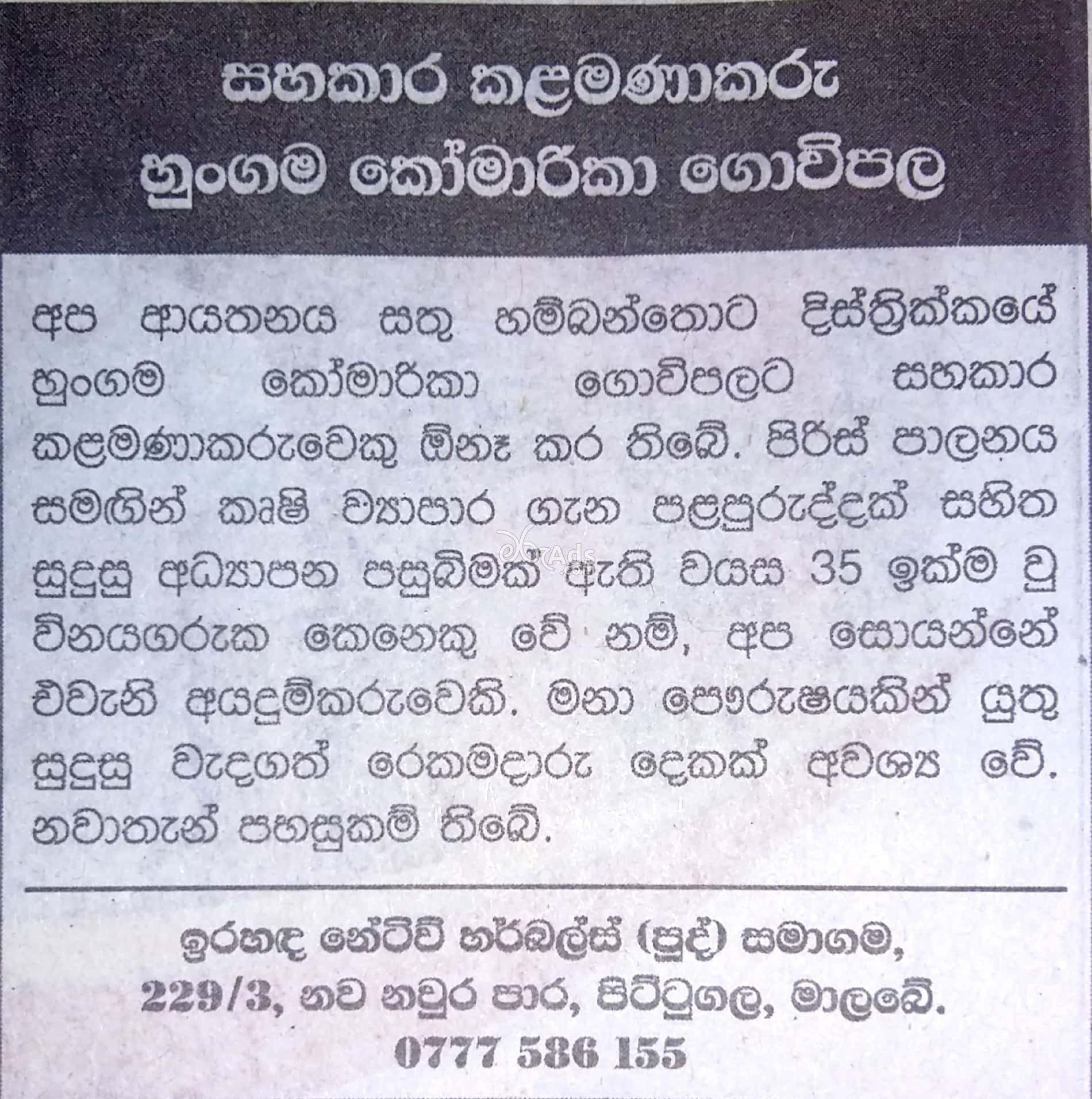 Assistant Manager Vacancy at Ira Handa Netive Marbles (Pvt) Ltd