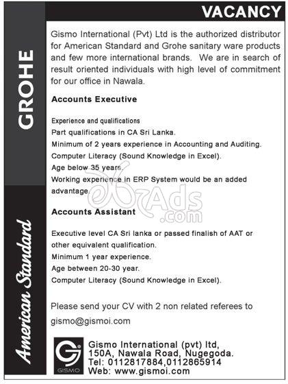 Accounts Executive / Assistant Vacancies at Gismo International (pvt) Ltd