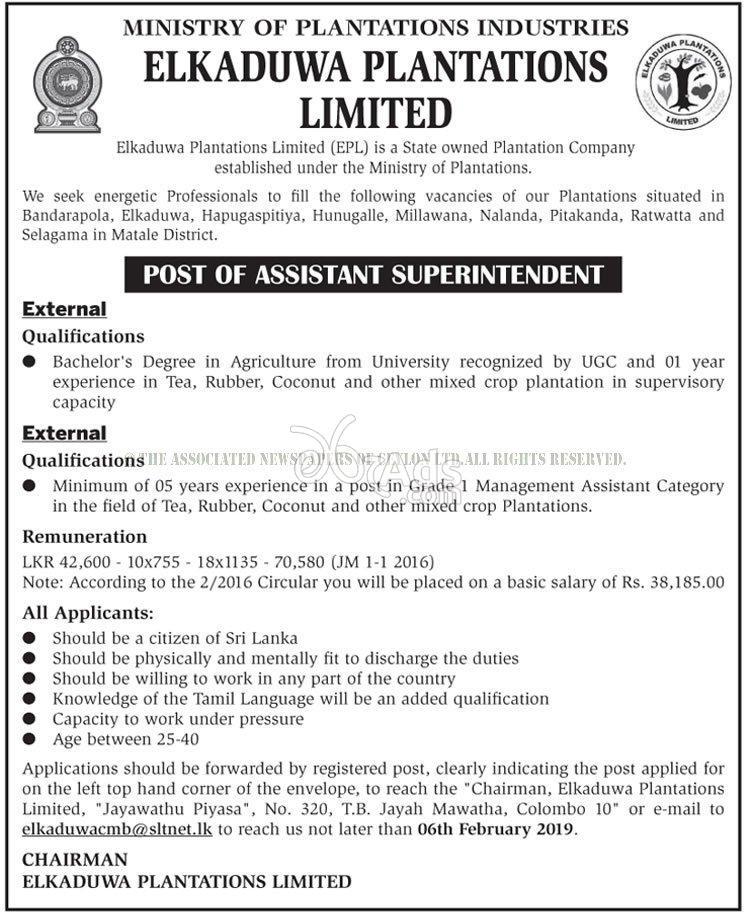 Assistant Estate Superintendent Government Vacancy at Elkaduwa Plantations Limited
