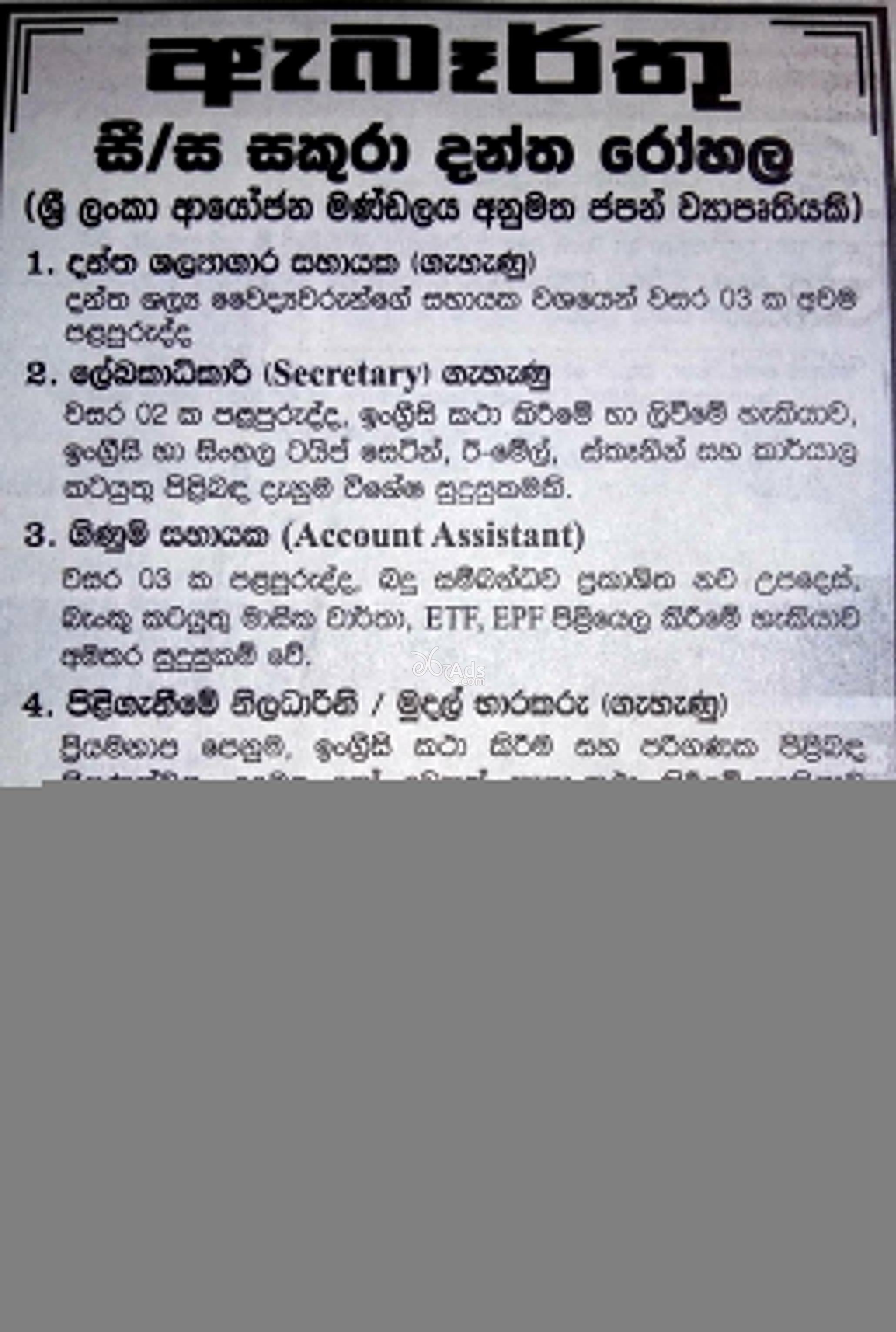 Dental Theater Assistant, Secretary, Account Assistant, Receptionist Job Vacancies at Sakura Dental Hospital