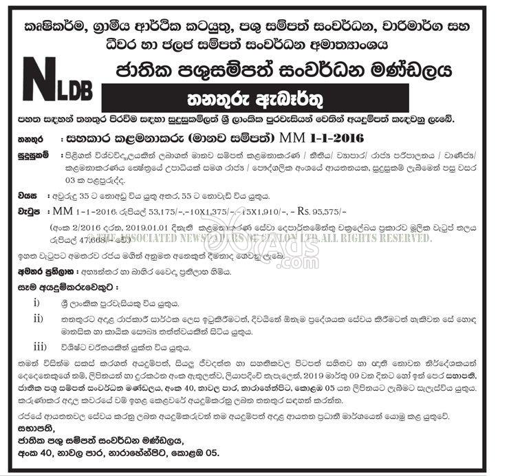 Assistant Manager Government Vacancy at National Livestock Development Board