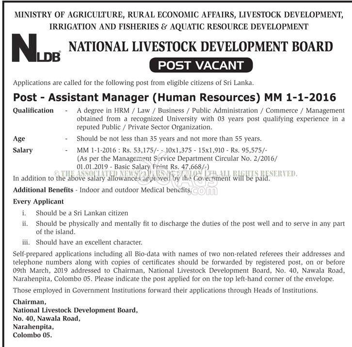 Assistant Manager Government Vacancy at National Livestock Development Board