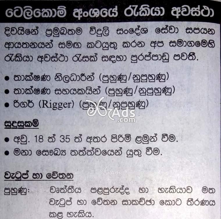 Vacancies for Technical Officer, Technical Assistant, Rigger