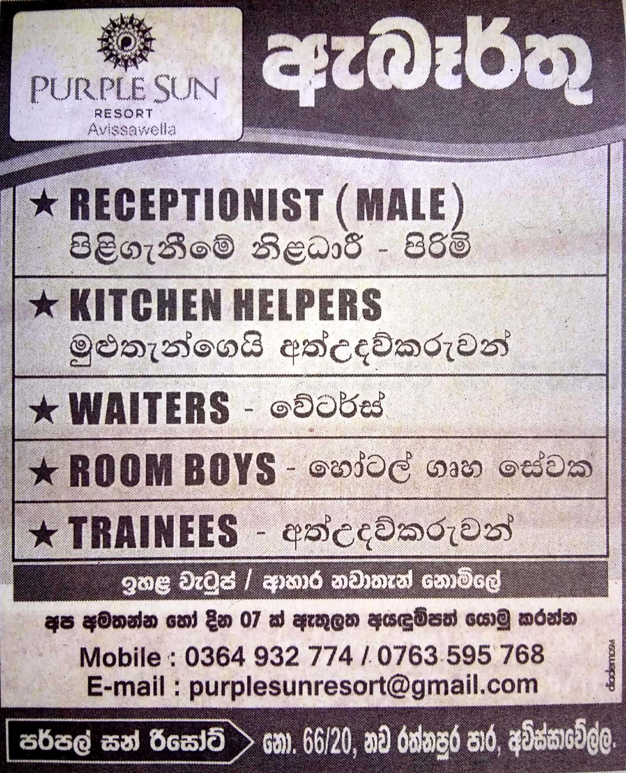 Receptionist, Kitchen Helper, Waiter, Room Boy, Trainees Vacancies at Purple Sun Resort