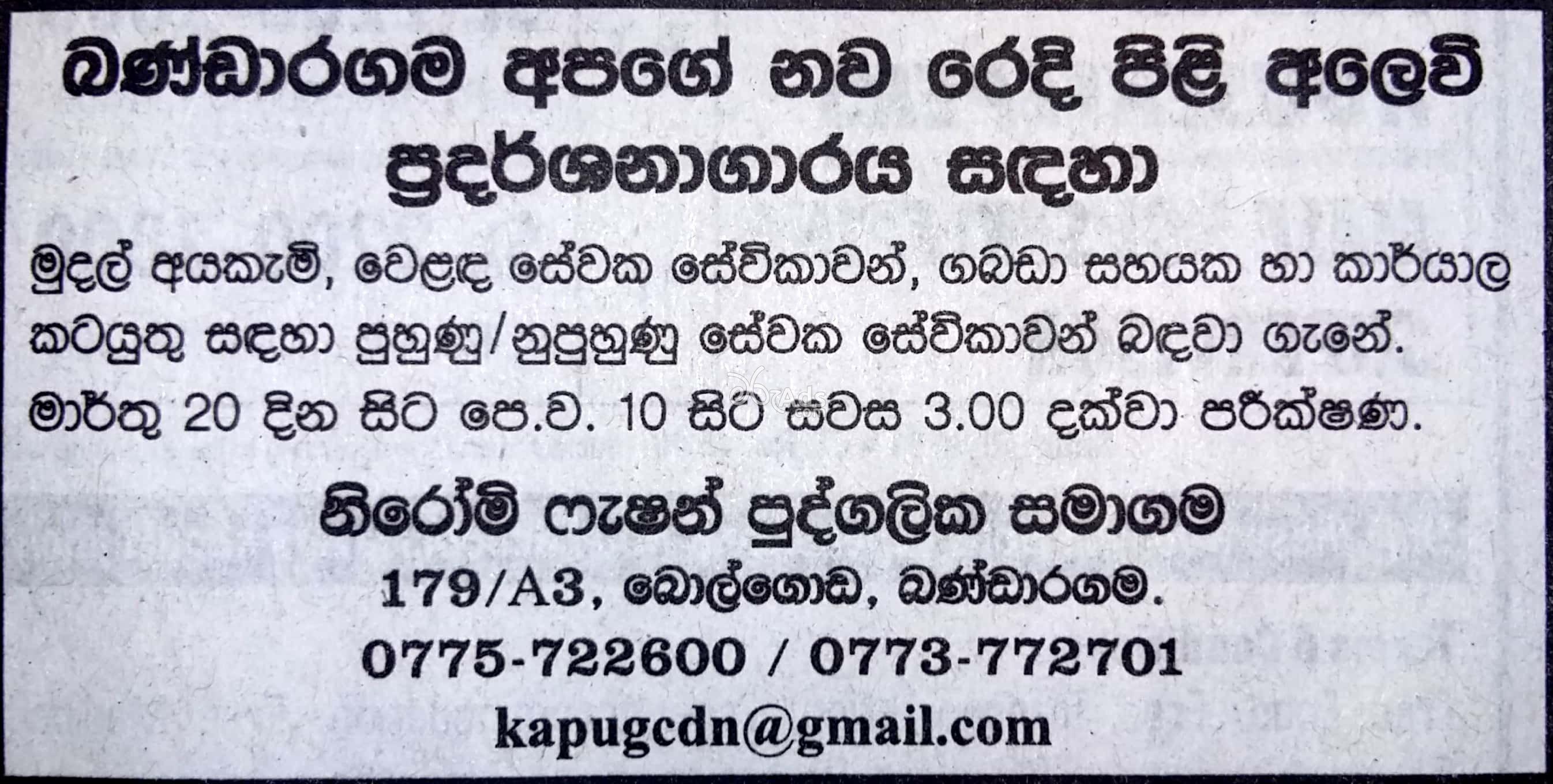 Cashiers, Sales Assistants, Store Assistants, Office Assistants at Niromi Fashion Pvt Ltd