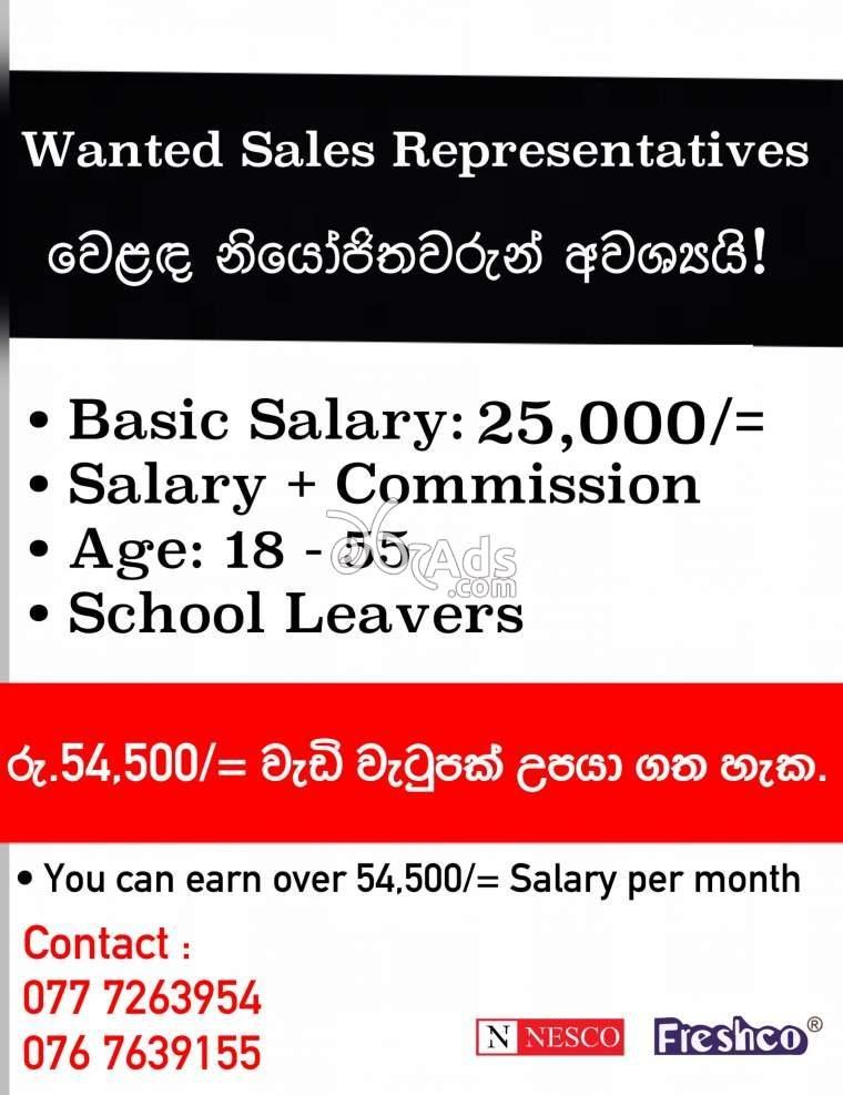 Sales Representative Vacancies at Nesco Enterprises