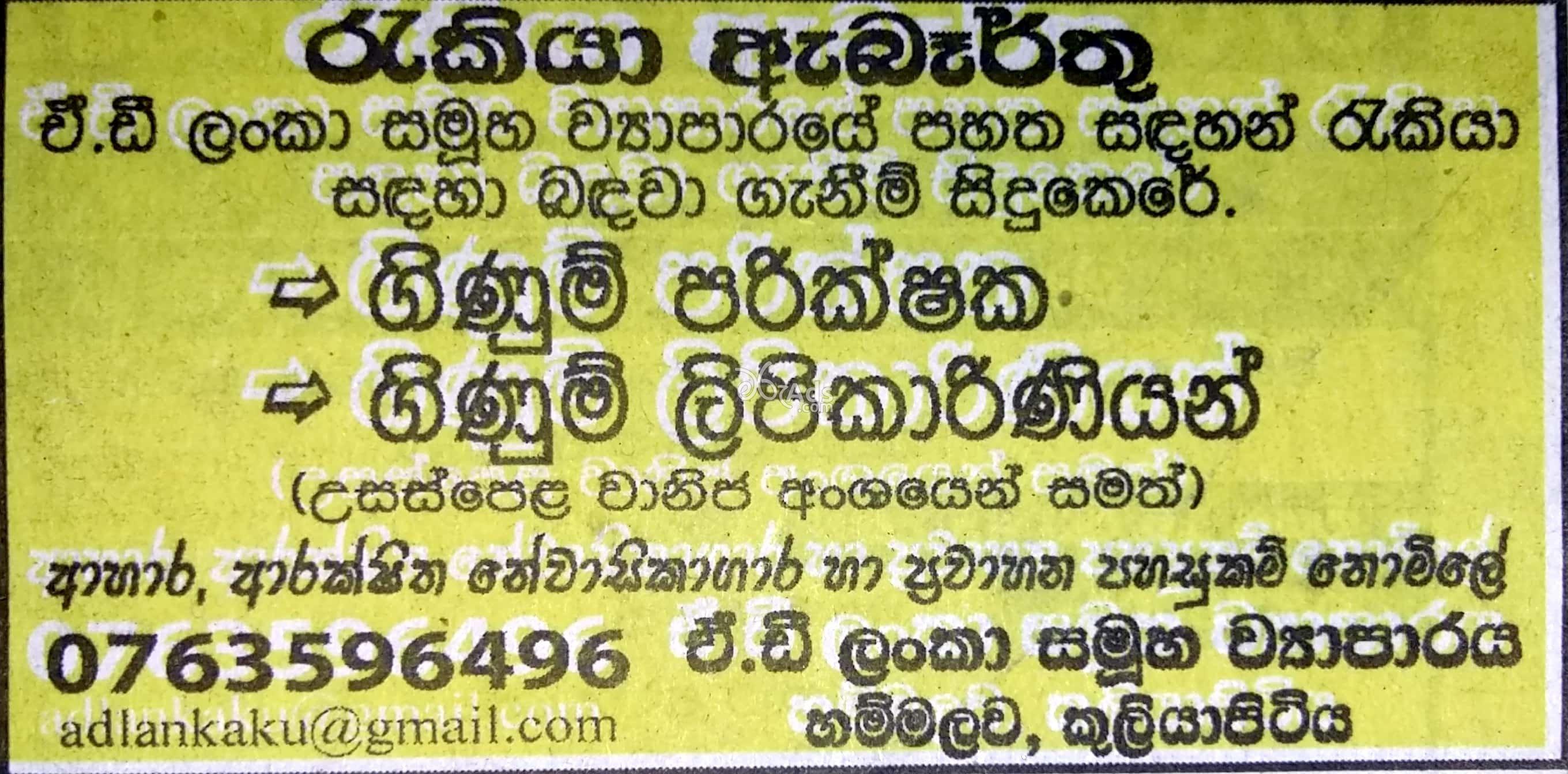 Accounts Assistant, Accounts Clerk Vacancies at AD Lanka Group of Company