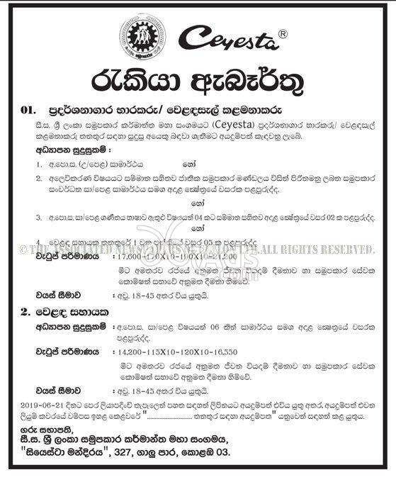 Outlets Trustee Shop Manager, Showroom Assistant Government Vacancy at Sri Lanka Co-operative Traders Association