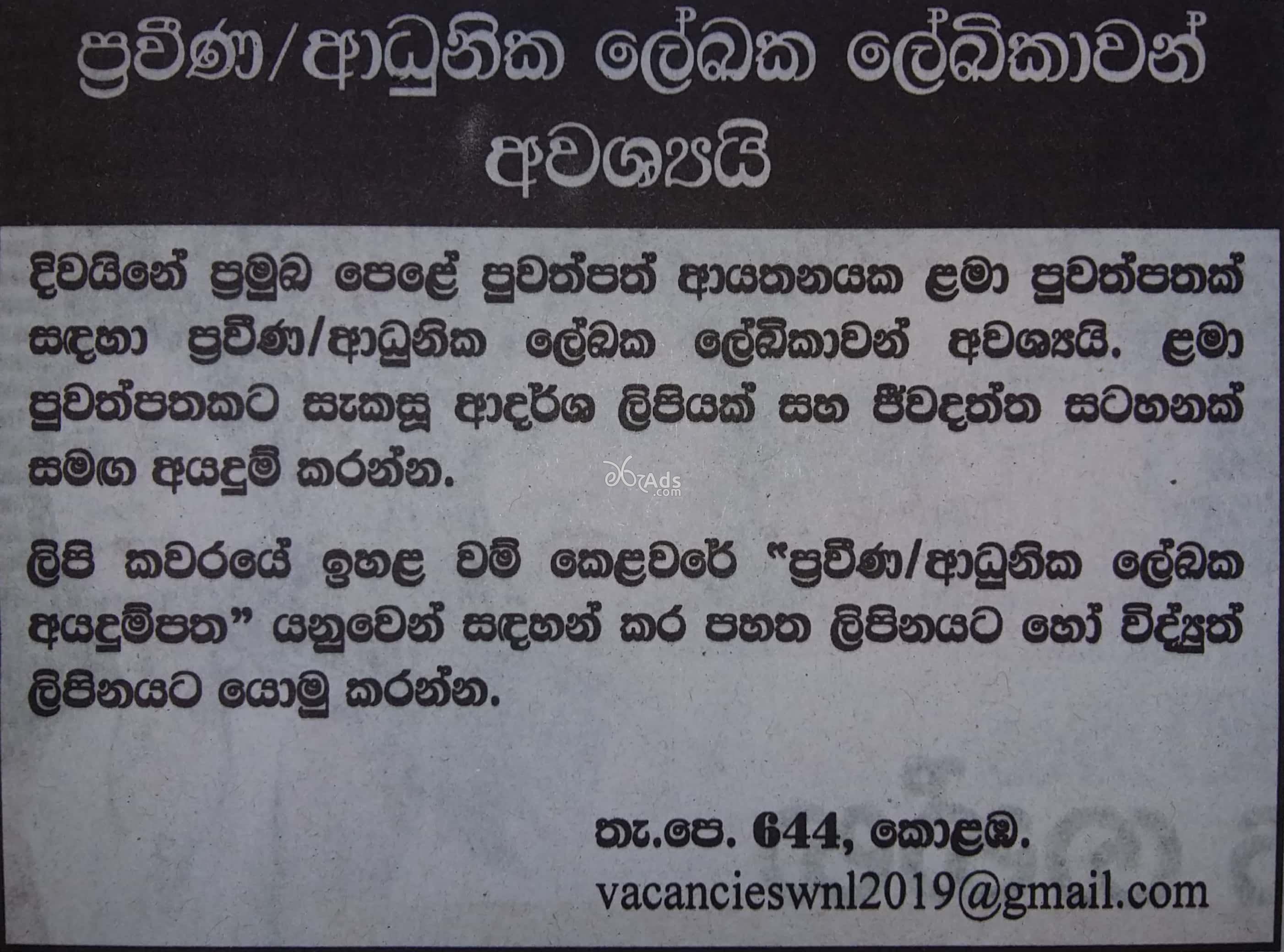 Article Writer Job Vacancies at Newspaper