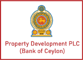 Executive - Property Development PLC