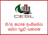 Accountant, Accounts Assistant - Central Engineering Services (Pvt) Limited