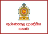 Electrician, Driver - Kurunegala Pradeshiya Sabha