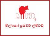 Information Technology Officer - Milco Private Limited