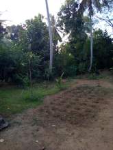 House for Sale, maruads.lk