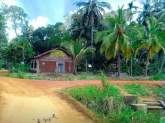 Land and House for Sale, maruads.lk