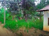Land and House for Sale, maruads.lk