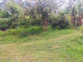 Land with House for Sale, maruads.lk