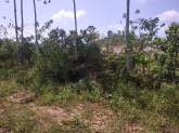 Land for Sale, maruads.lk