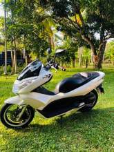 Honda PCX (A) Grade, maruads.lk
