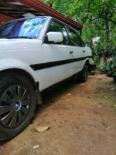 Toyota Corona Super Saloon, maruads.lk