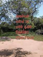 Land for Sale, maruads.lk